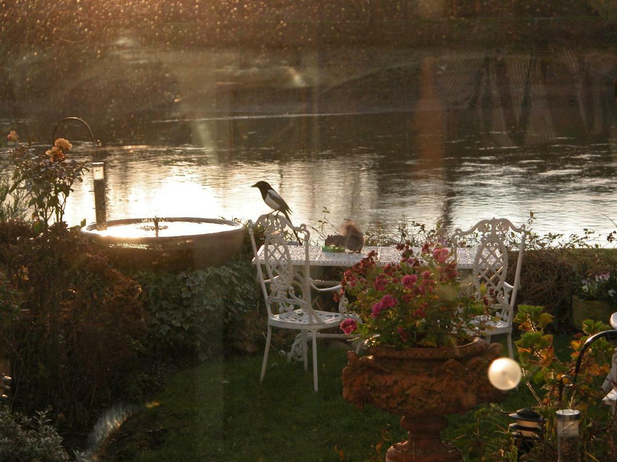 Bed and Breakfast Chiswick Riviera With Free Parking Londres Exterior foto